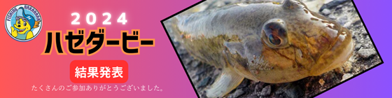 FISHING �Ȃ��͂� �n�[�_�[�r�[ 2024 ���ʔ��\