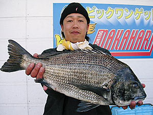 チヌダービー釣果