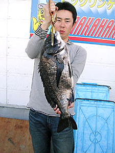 チヌダービー釣果