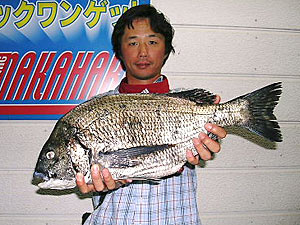 チヌダービー釣果