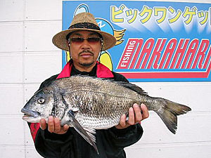 チヌダービー釣果