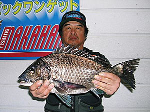 チヌダービー釣果