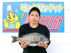 チヌダービー釣果