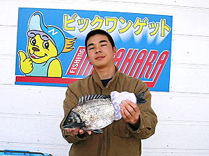 チヌダービー釣果