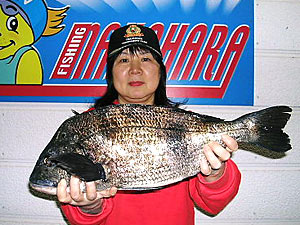 チヌダービー釣果