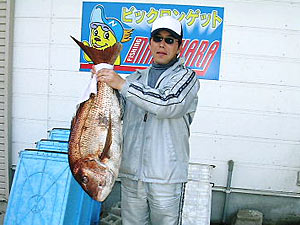 チヌダービー釣果