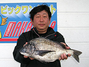 チヌダービー釣果