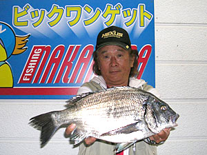 チヌダービー釣果