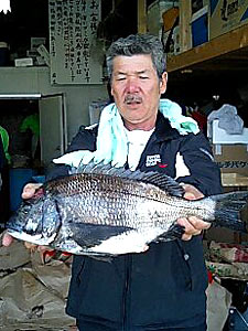 チヌダービー釣果