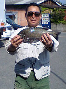 チヌダービー釣果