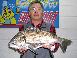 チヌダービー釣果