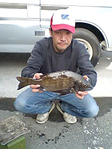 チヌダービー釣果