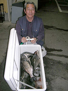 チヌダービー釣果