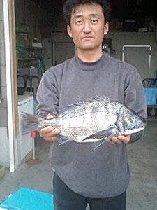 チヌダービー釣果