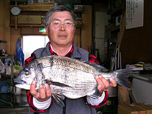 チヌダービー釣果