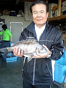 チヌダービー釣果