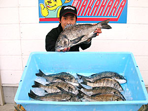 チヌダービー釣果