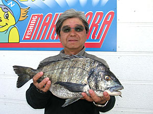 チヌダービー釣果