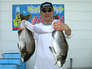 チヌダービー釣果