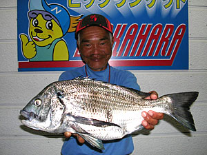 チヌダービー釣果