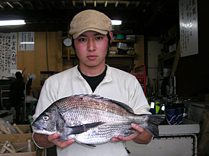 チヌダービー釣果