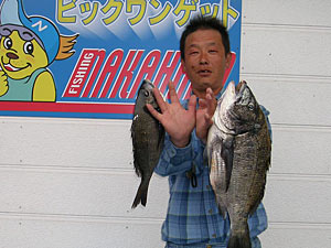 チヌダービー釣果