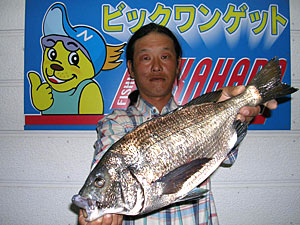 チヌダービー釣果