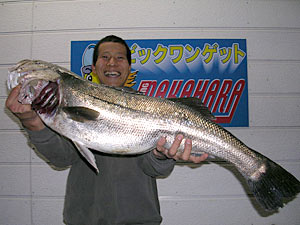 チヌダービー釣果